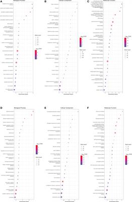 Agouti overexpression in a transgenic model regulates integrity, permeability and electrogenic amino acid transport in zebrafish intestine